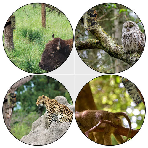 Yellow-brown 16MP hunting game camera with infrared night vision for wildlife monitoring
