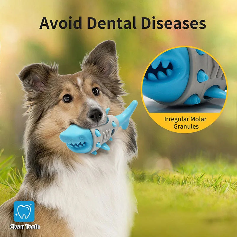 Shark-tooth mimicry dog teething toy in blue, grey, or yellow with textured surfaces