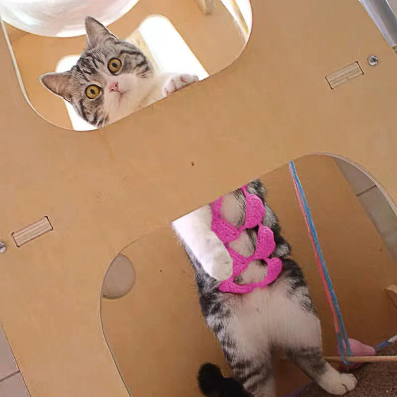 Cat wearing sweet style bikini costume in multiple colour options for Halloween and festivals