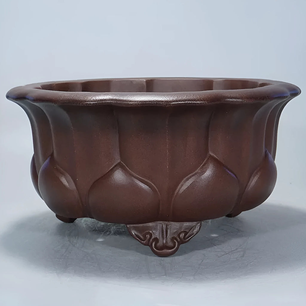 Purple sand succulent flower pot with petal basin design measuring 37x37x20cm