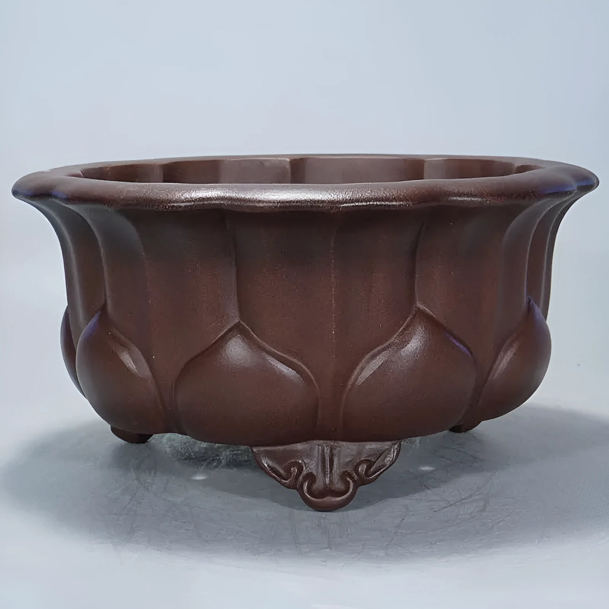 Purple sand succulent flower pot with petal basin design measuring 37x37x20cm