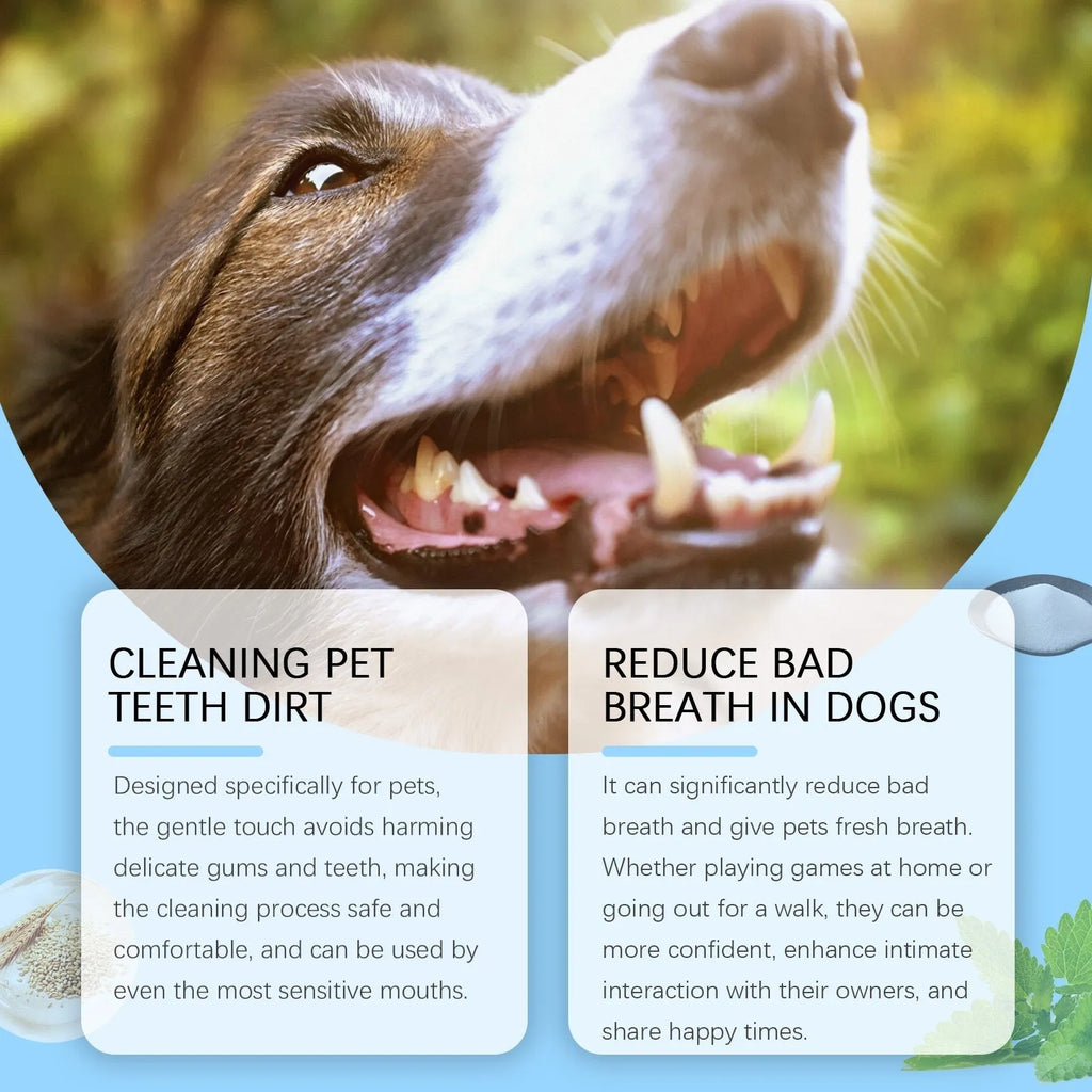 Soft-bristled pet toothbrush pen with 3ml dental gel for dog and cat teeth cleaning