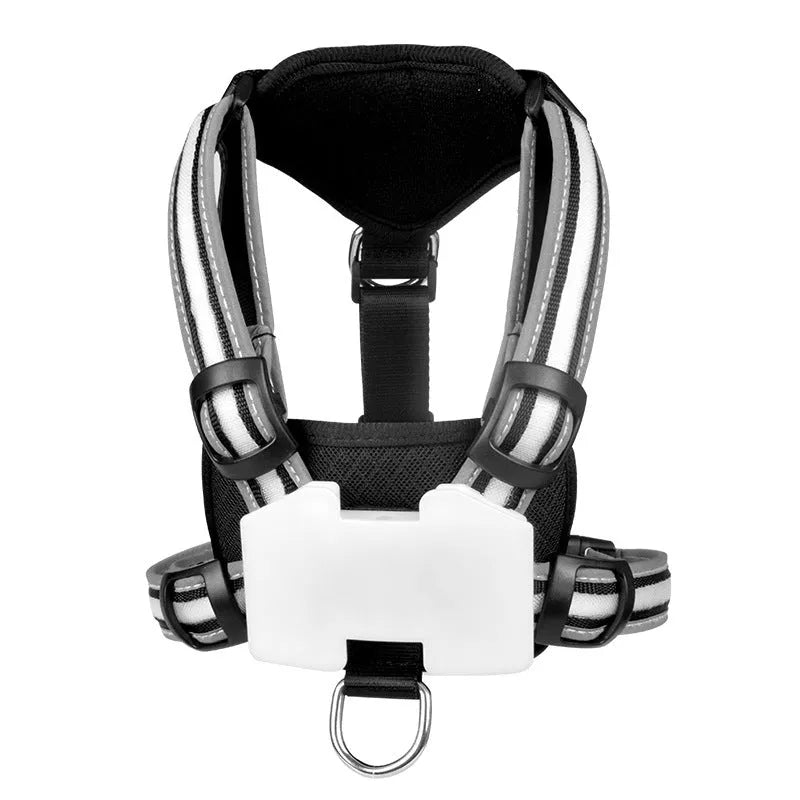 Seven-colour luminous dog lead with padded handle and USB charging cable on a dark background