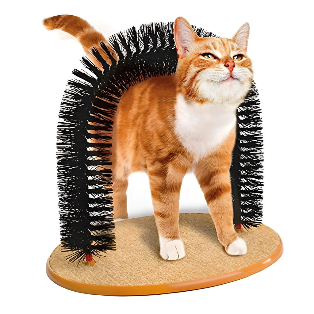 White plastic arched cat grooming station with built-in brush bristles for scratching and rubbing.