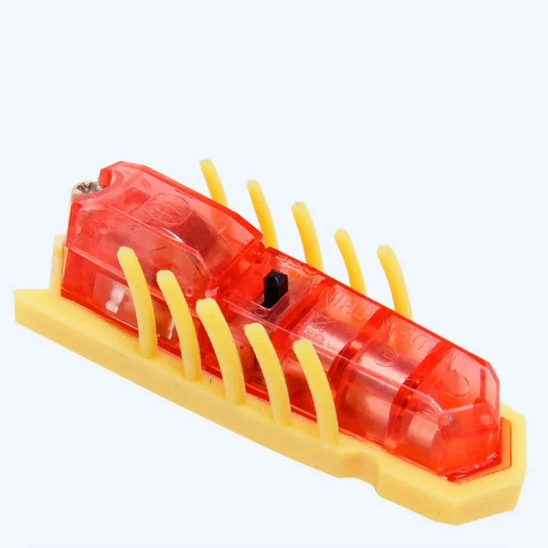 Small red ladybird-shaped electric cat toy with multiple legs on a hardwood floor