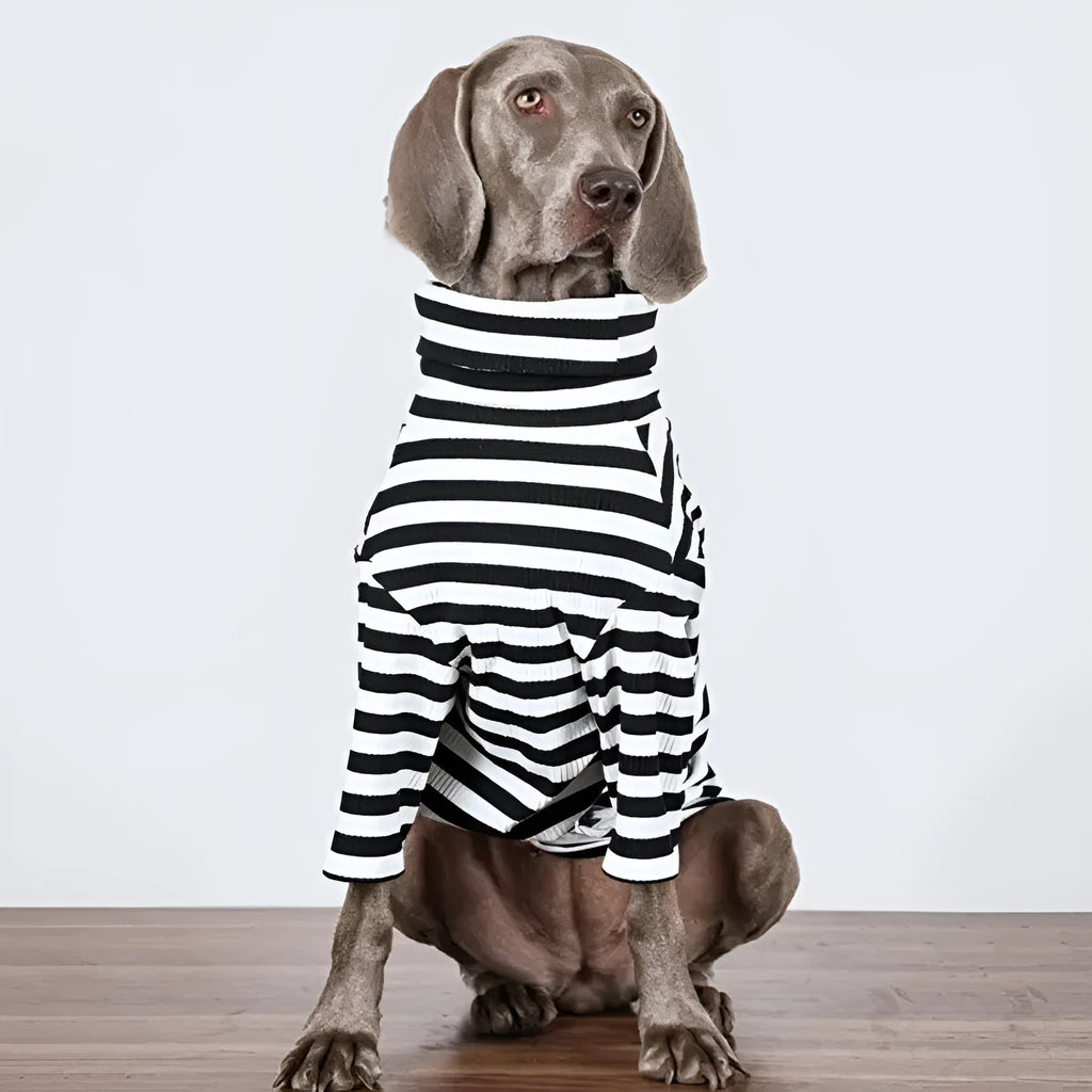 Black and white thin polyester jacket for a large dog, shown in size XL for autumn or winter.