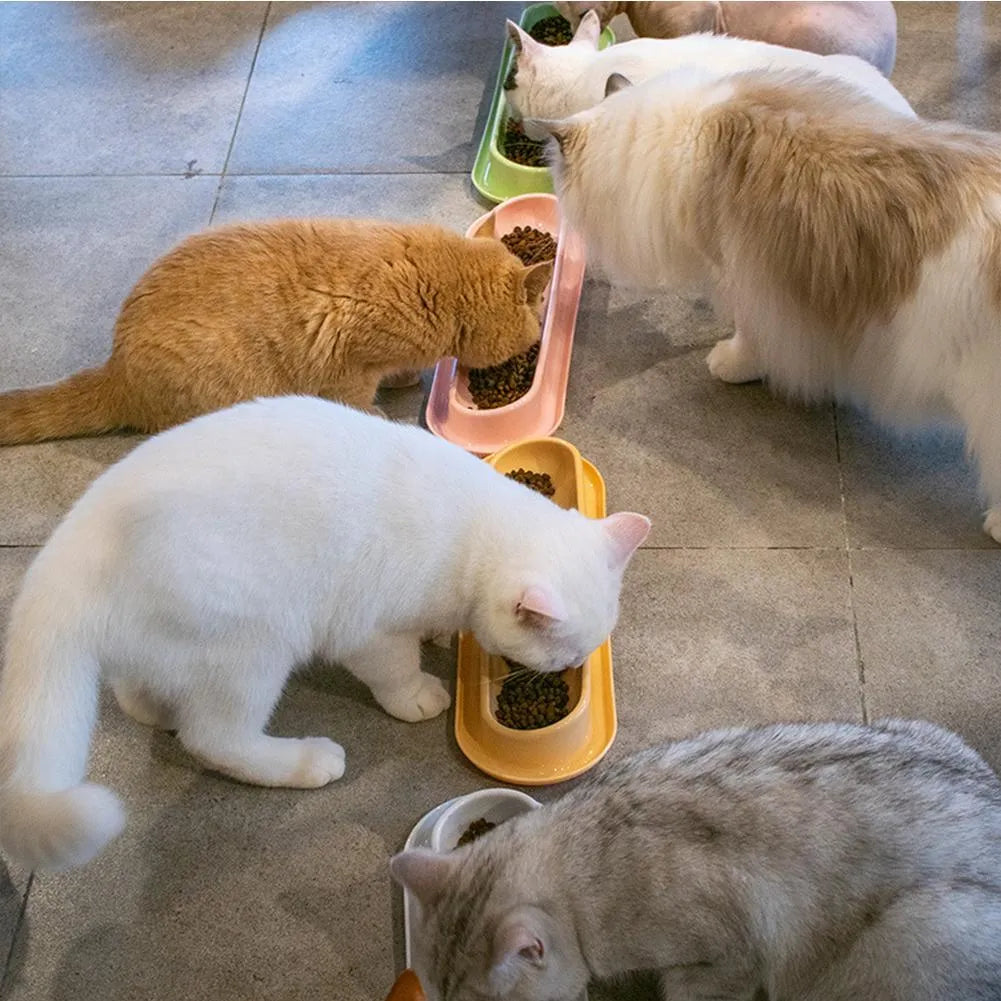 Green, pink, and yellow leakproof plastic pet food and water bowls for multiple kittens or puppies.