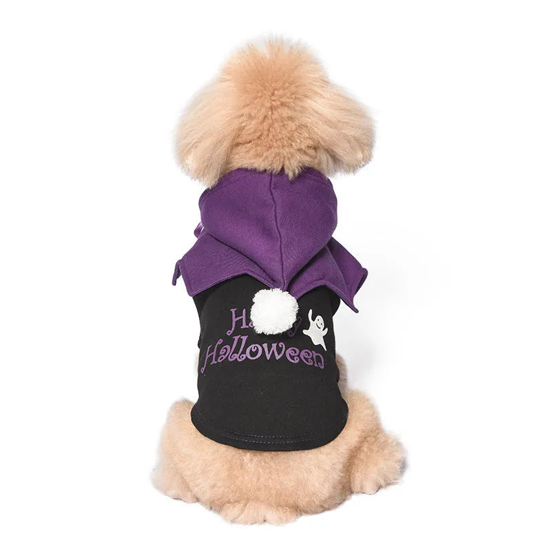Black and orange Halloween dog sweater with pumpkin shawl costume on pet