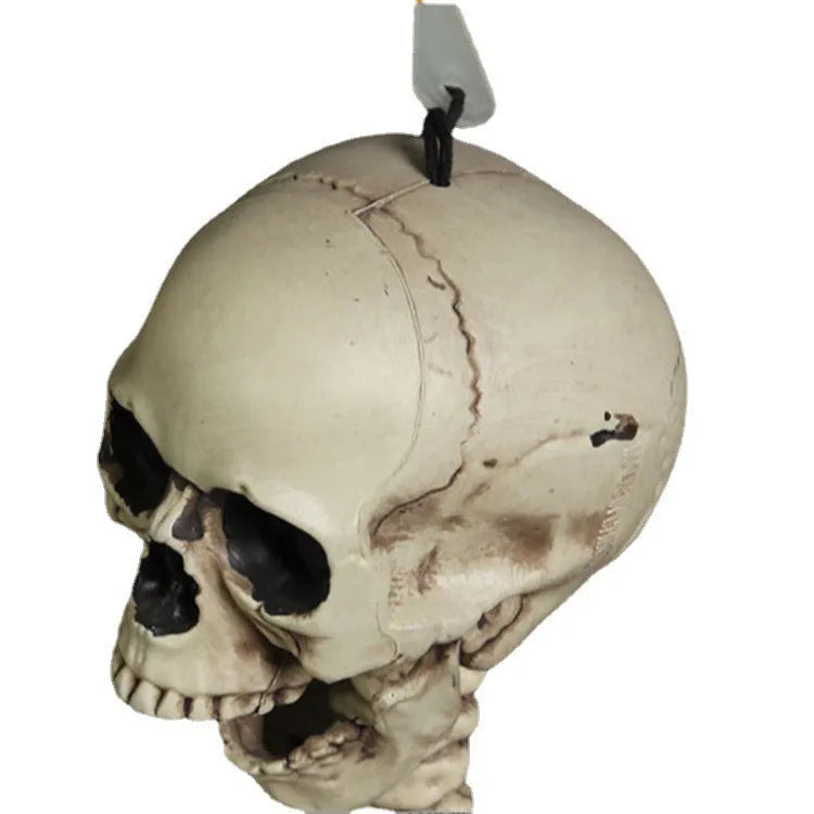 Life-size 170cm plastic skeleton prop standing upright with detailed bone structure