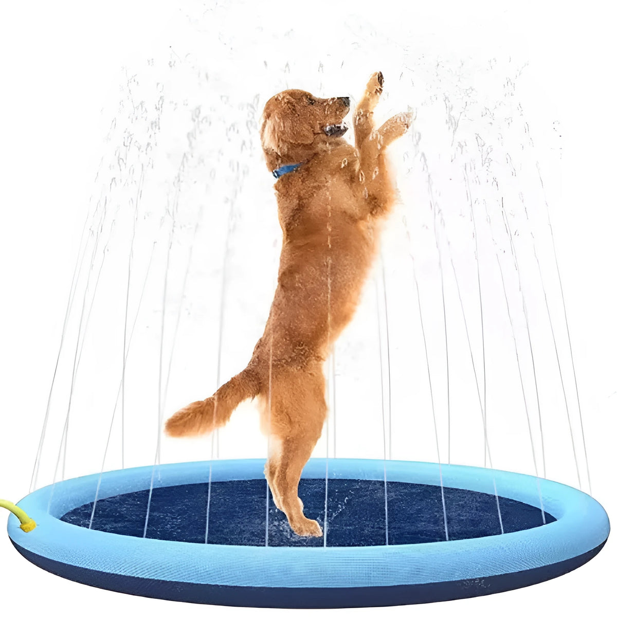 Inflatable blue dog pool mat with anti-slip surface, showing three size options: 100cm, 150cm, and 170cm diameter.