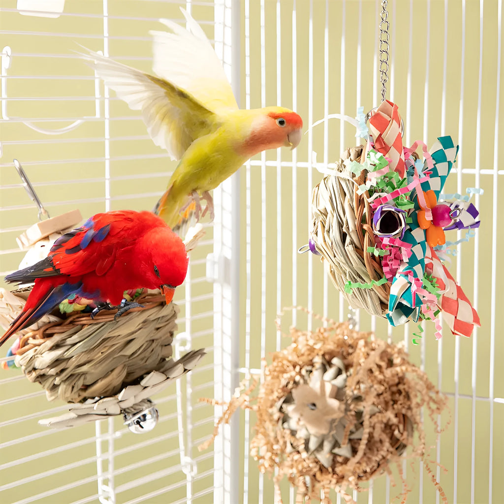Parrot gnawing toy with wooden blocks in three different configurations for bird chewing enrichment