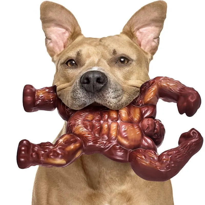 Scarlet red nylon molar-shaped dog chew toy with beef flavour, shown next to a ruler for scale.