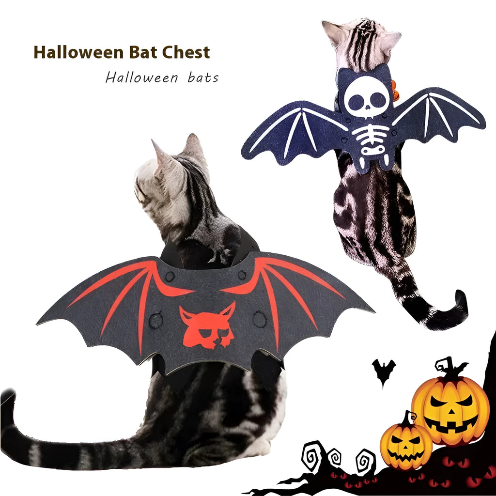 Halloween batwing cloak costume for a cat, made from black and orange felt.