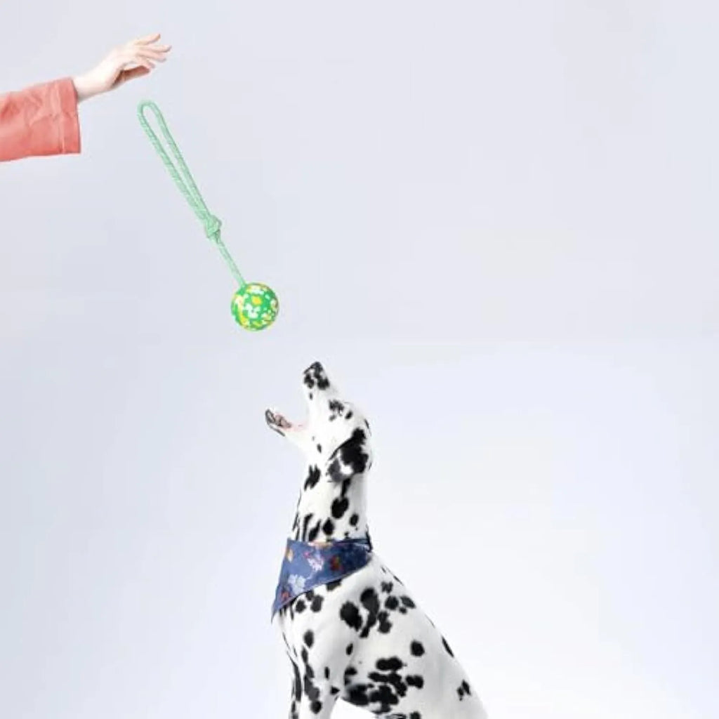 Natural rubber dog ball attached to a nylon rope for interactive fetch and tug-of-war play.