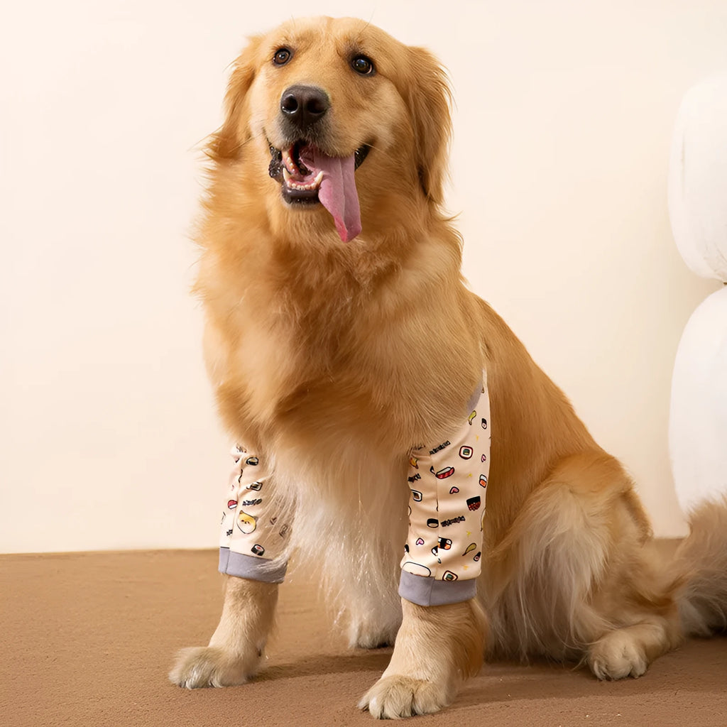 Adjustable dog knee protector with extra-thick elbow padding and matching scarf on medium breed dog