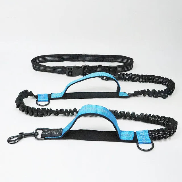 Adjustable nylon dog leash for jogging and walking, one size, in fluorescent green, orange, or light blue