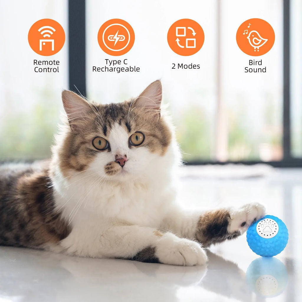 Remote control interactive cat toy ball with multiple colour options including blue, green, and yellow