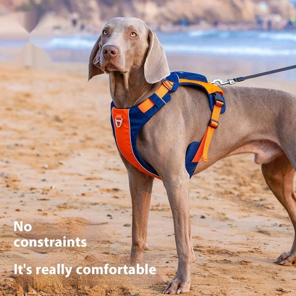 Orange blue nylon dog chest strap with adjustable four-point buckle system shown on dog