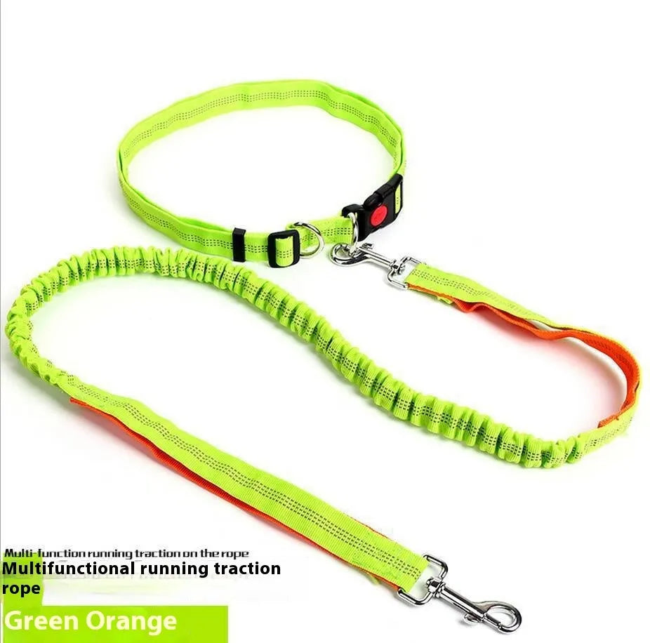 Reflective elastic dog leash in grey and green colour combination measuring 2.5cm wide