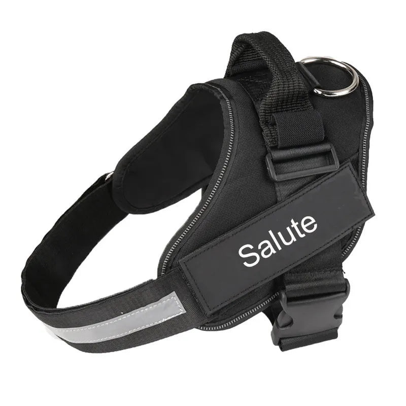 Adjustable nylon dog harness with reflective strips and a sturdy handle on a dog.