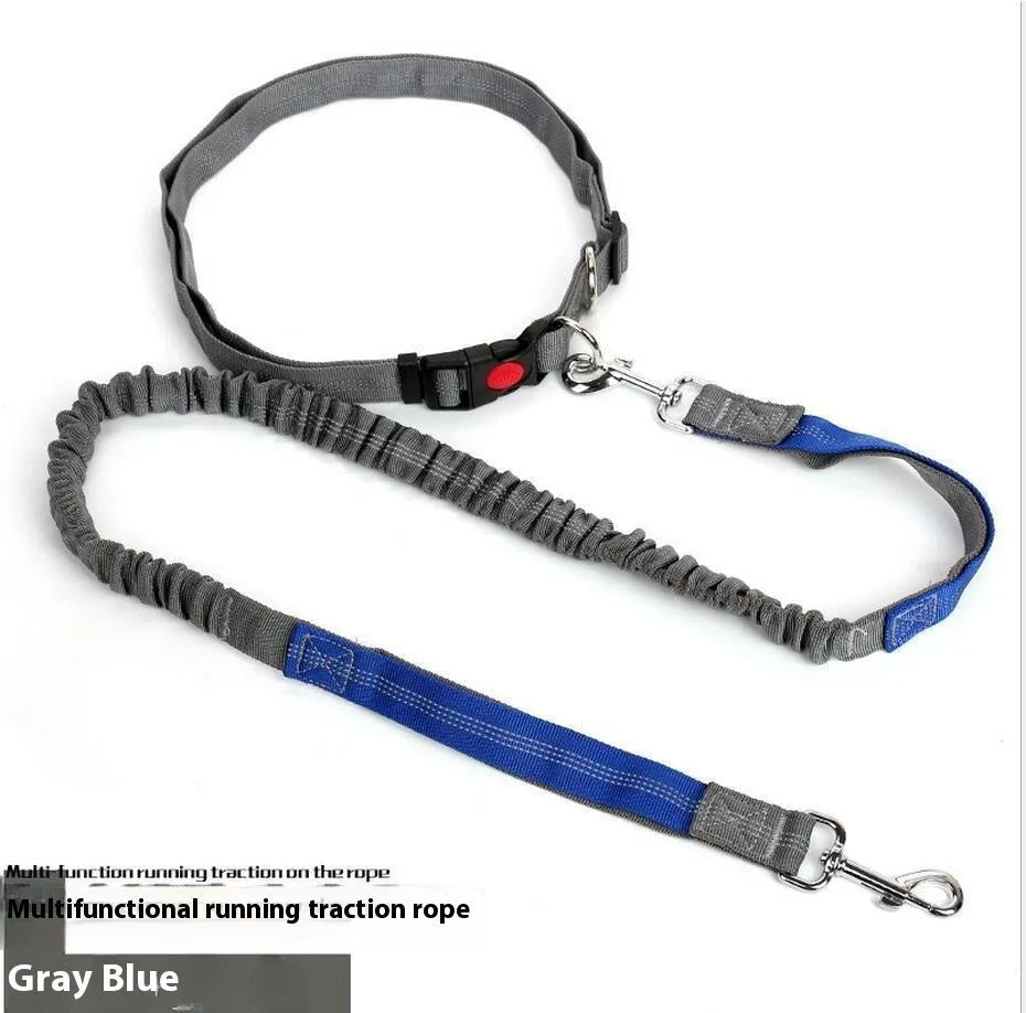 Reflective elastic dog leash in grey and green colour combination measuring 2.5cm wide