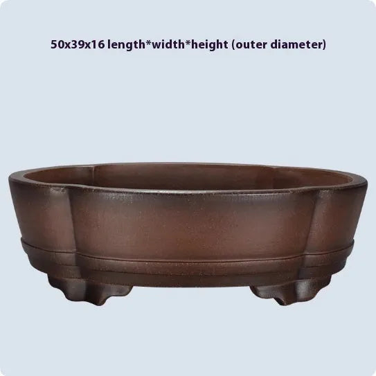 Classical purple clay bonsai pot measuring 50 cm wide with natural ceramic texture