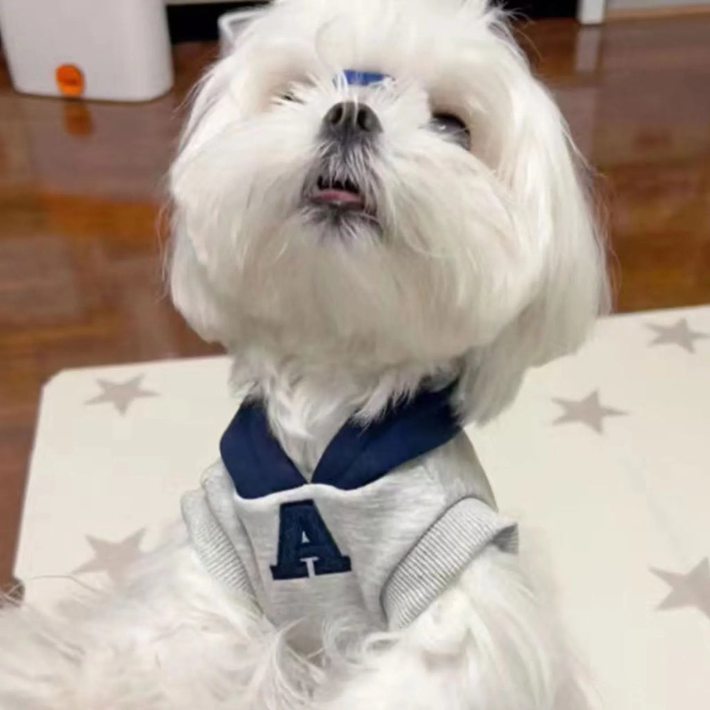 Blue and gray white pet hoodie with reflective lettering for cats and dogs