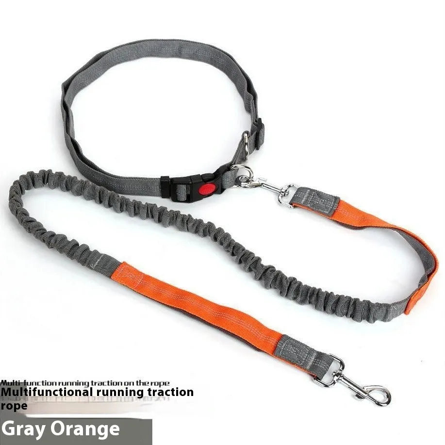 Reflective elastic dog leash in grey and green colour combination measuring 2.5cm wide