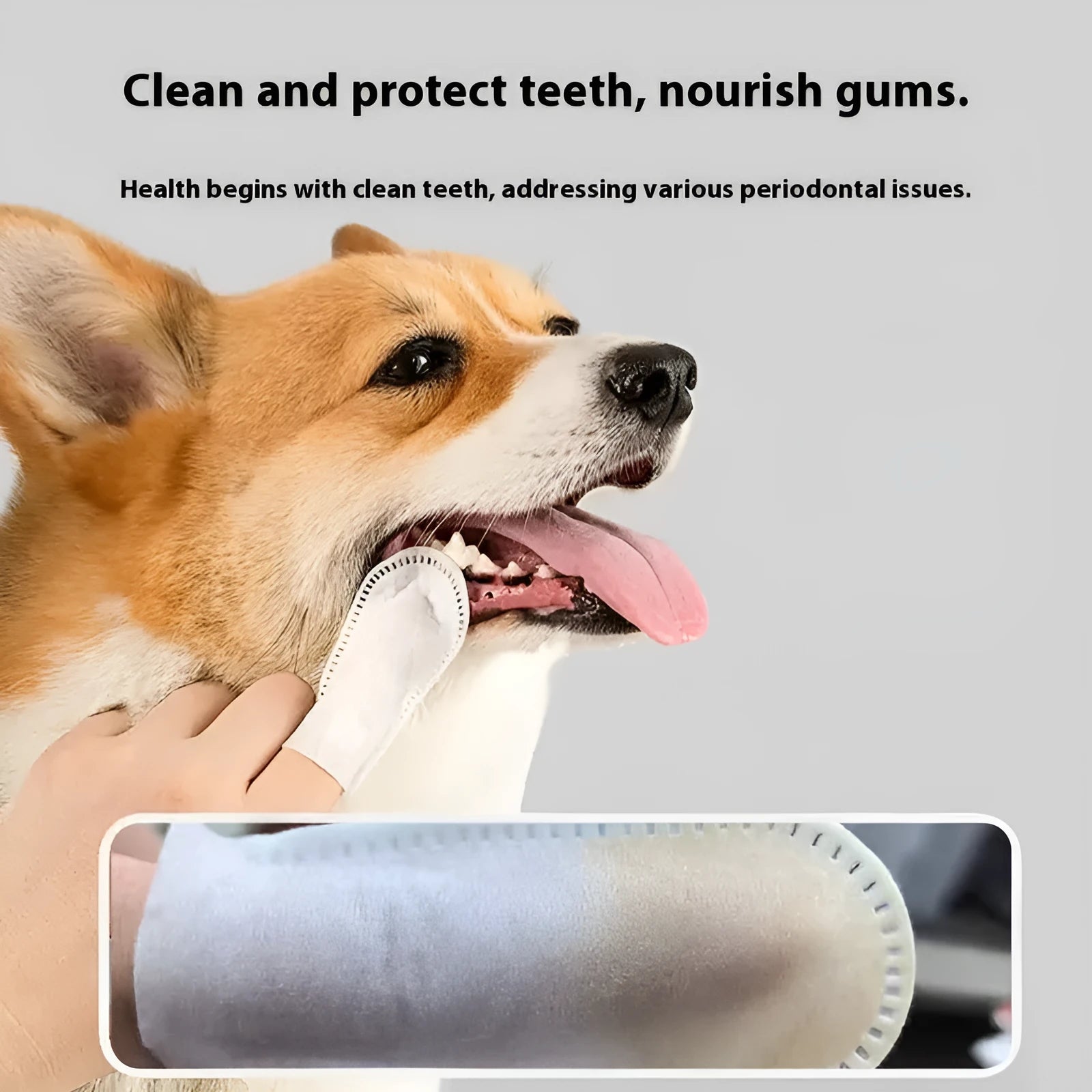 Pack of 50 disposable non-woven fabric pet dental finger cots for cleaning cat and dog teeth