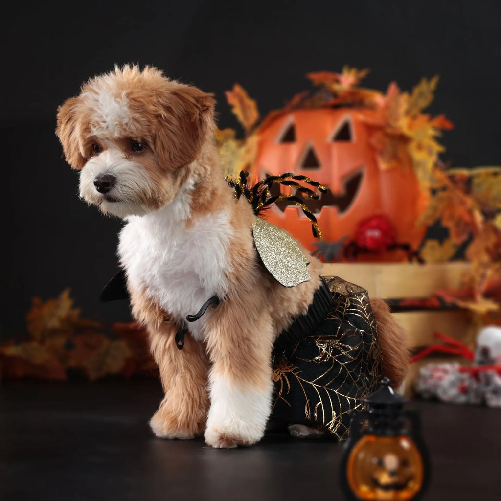 Polyester Halloween dog costume suit available in sizes S, M, L, and XL for canine party wear