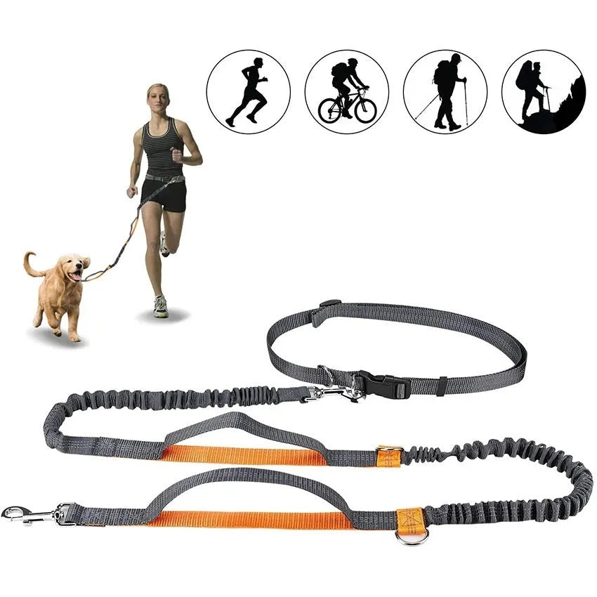 Adjustable nylon dog leash for jogging and walking, one size, in fluorescent green, orange, or light blue