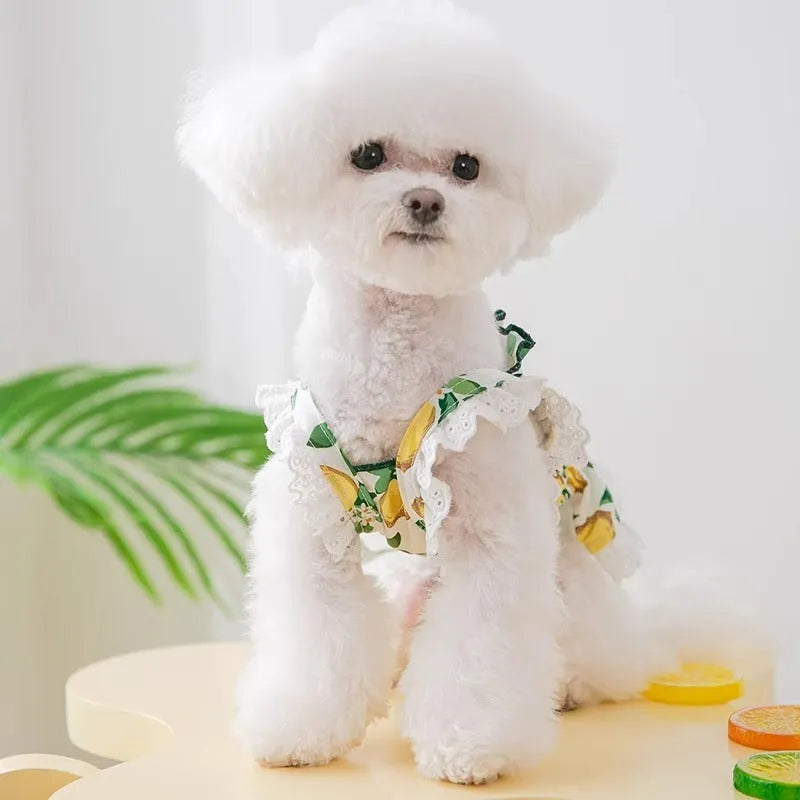 Rock yellow lemon princess-style dog dress skirt with thin straps, made from breathable polyester fabric.