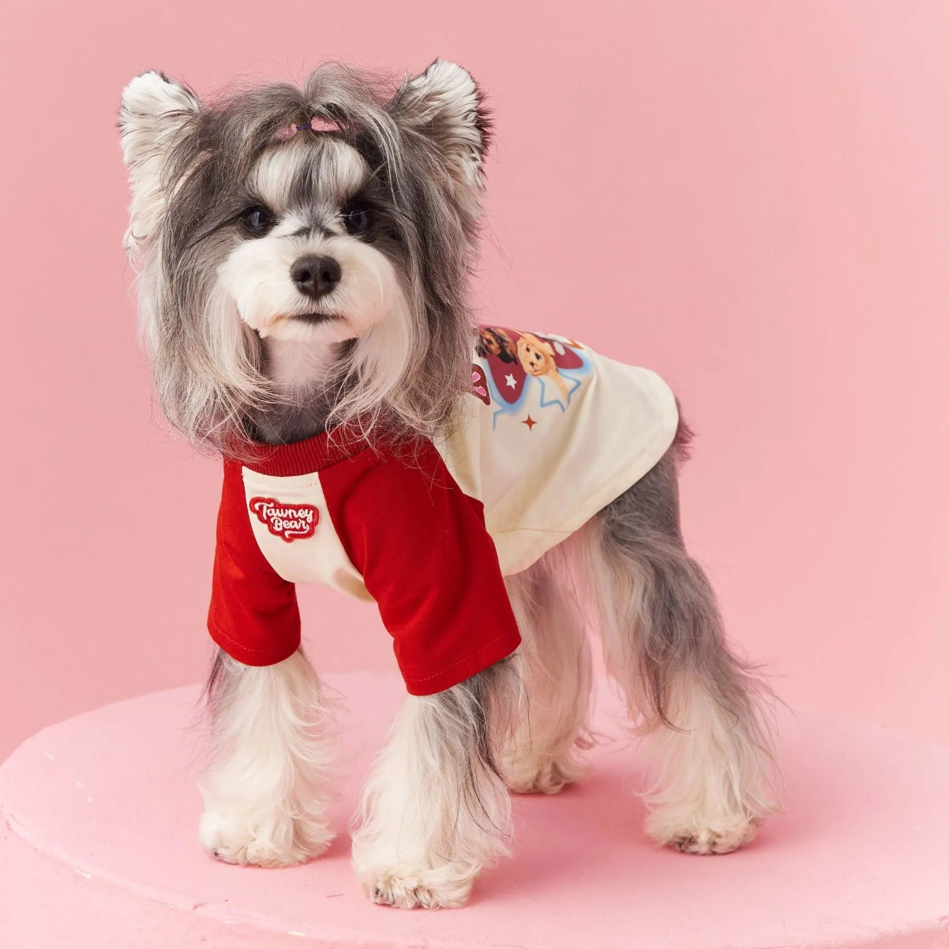 Red embroidered cotton dog summer clothing shown in size L