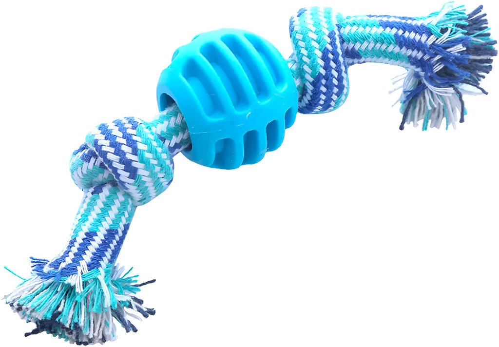 Blue soft dog chew toy with molar-shaped textured head and integrated knotted rope for dental care.