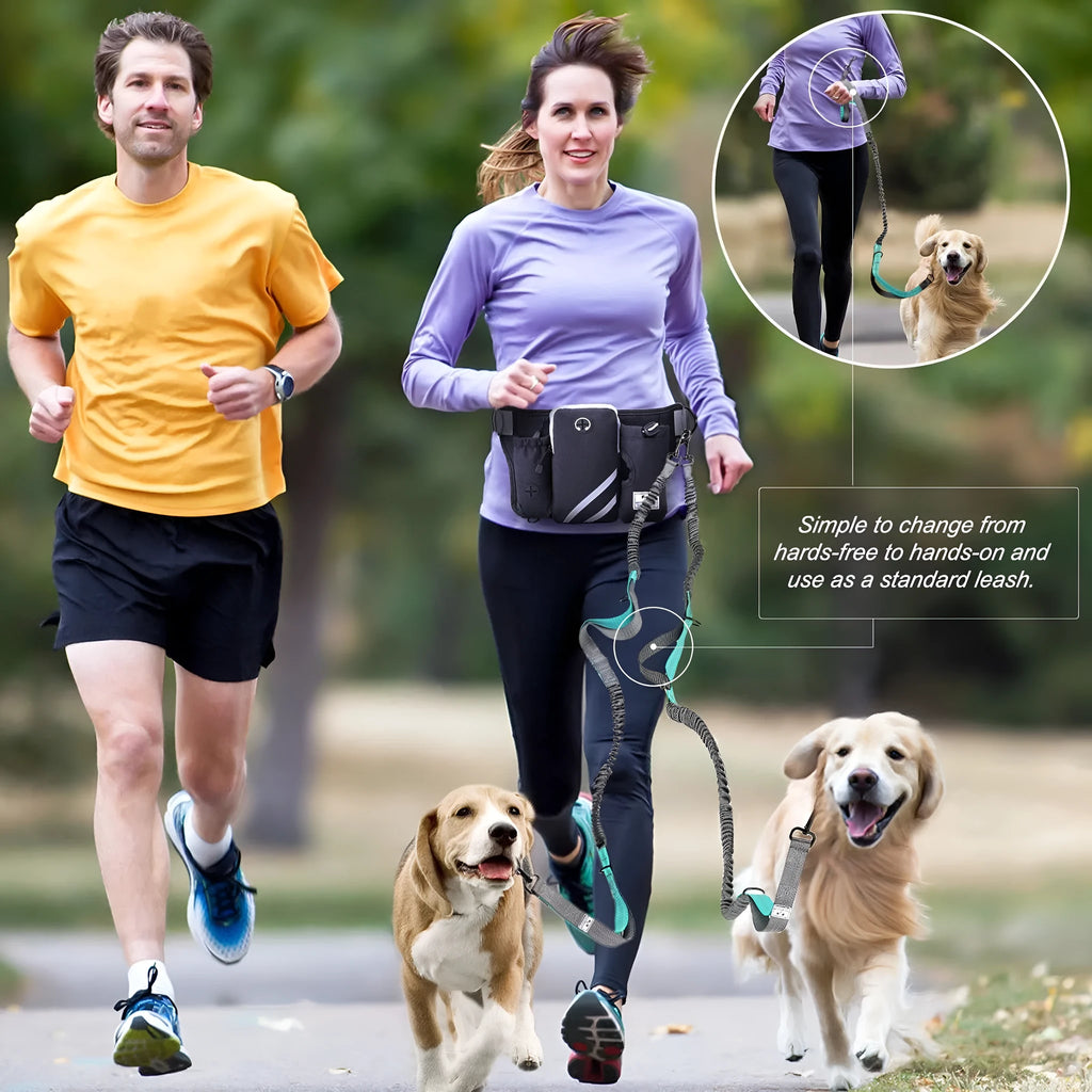 Black nylon dog walking waist bag and leash set for hands-free outdoor use