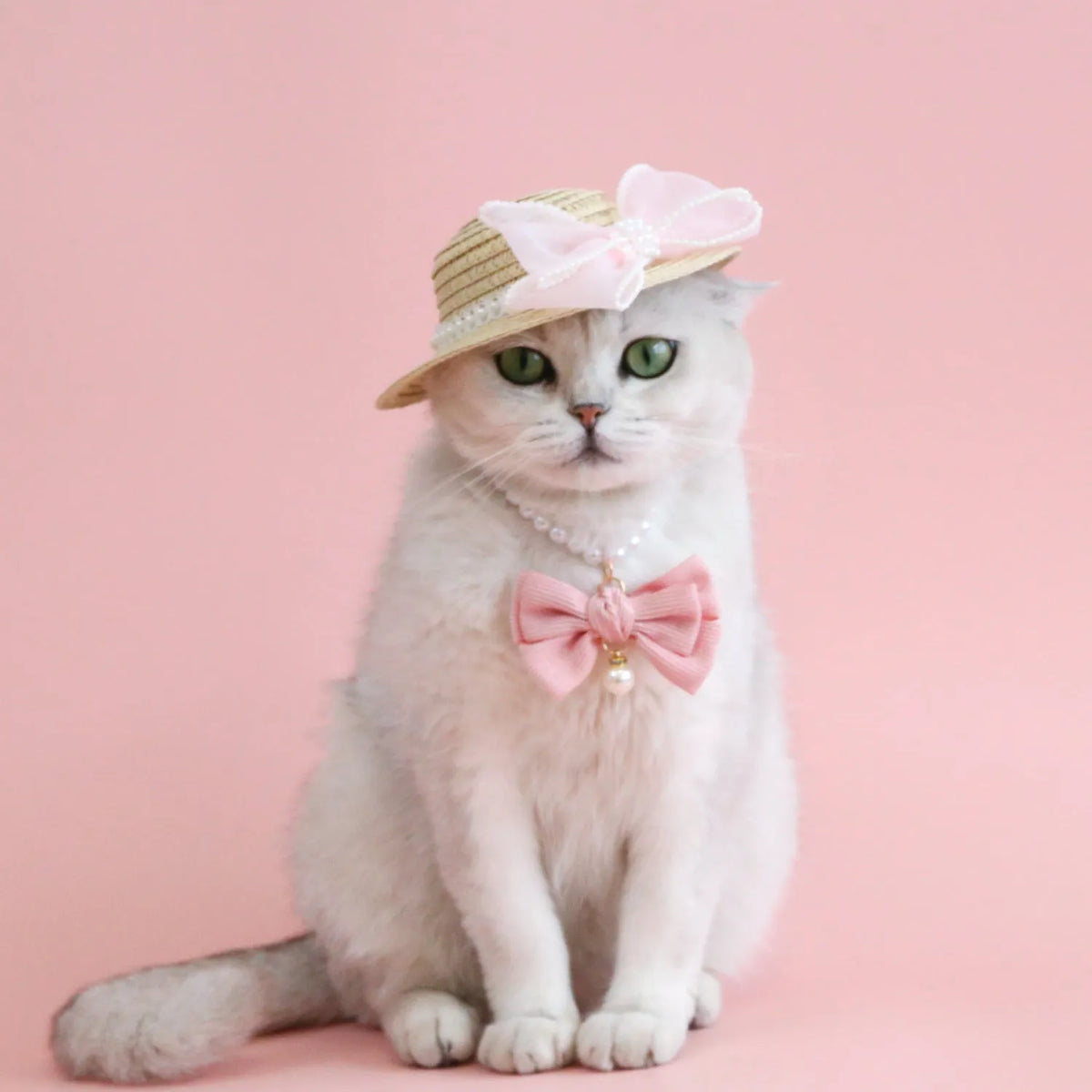 Pet cat wearing a woven Lafite leaf straw hat with a pearl butterfly decoration.