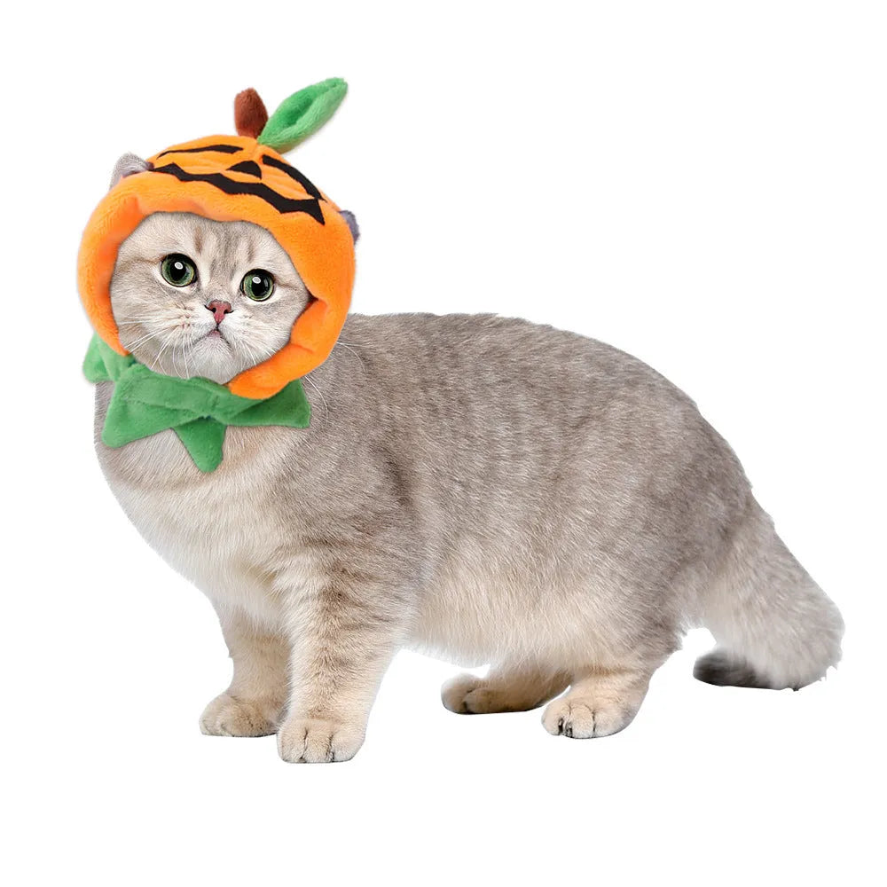 Orange double-sided pumpkin cloak costume on dog or cat with plush material and Halloween ornaments