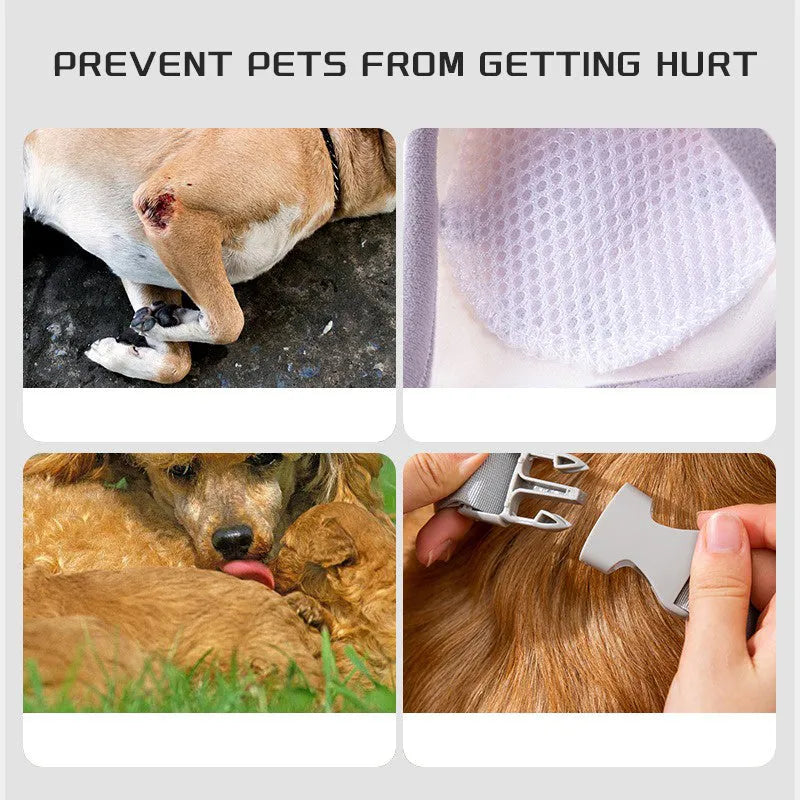 Adjustable dog knee protector with extra-thick elbow padding and matching scarf on medium breed dog