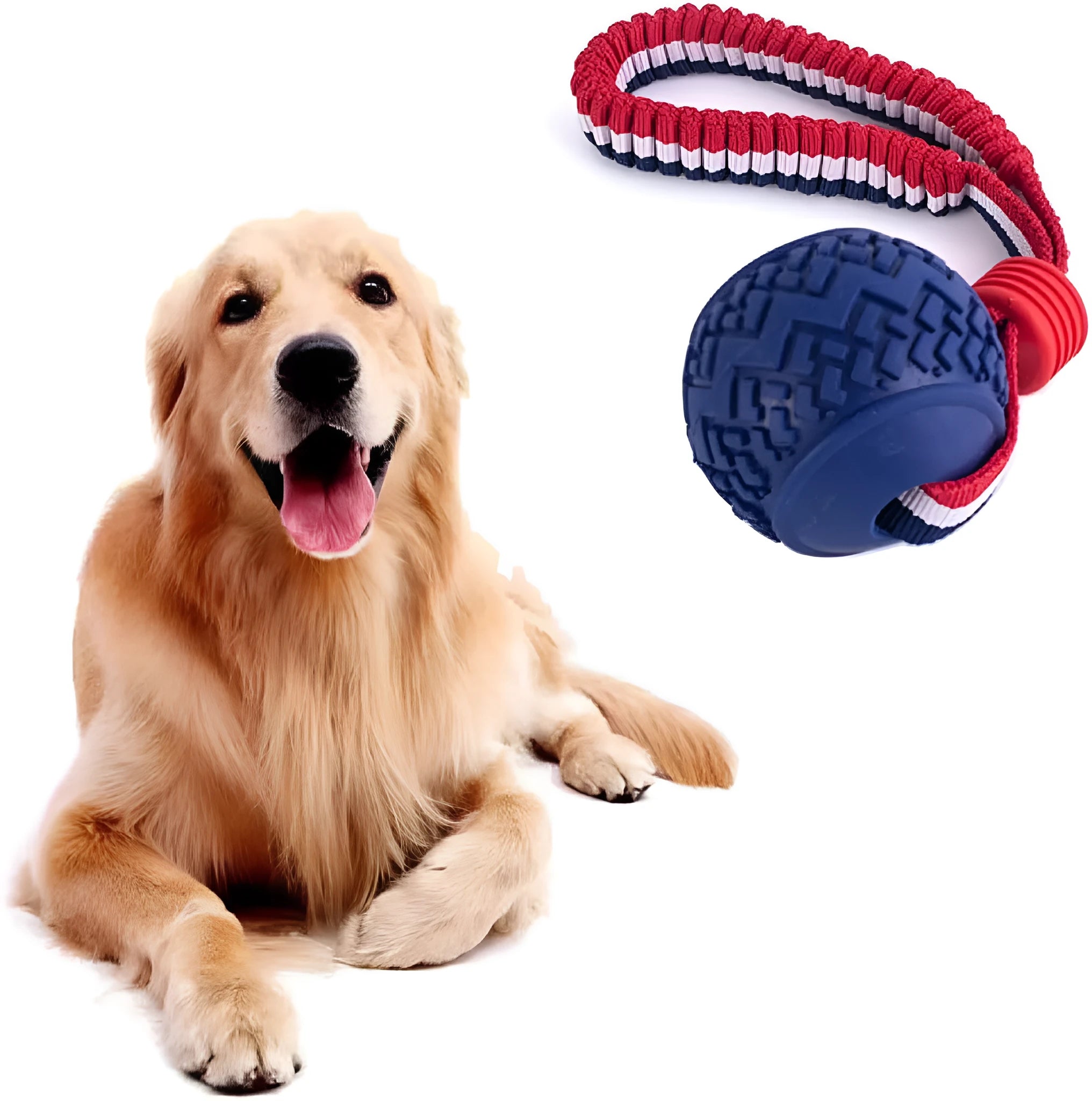 Blue or red natural rubber dog ball with attached rope for tug-of-war and teeth cleaning