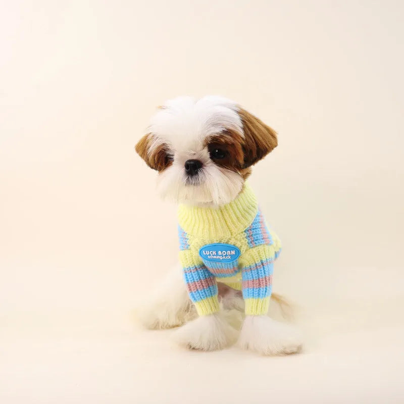 Blue and yellow stripe wool sweater for a small dog, sizes XS to XXL.