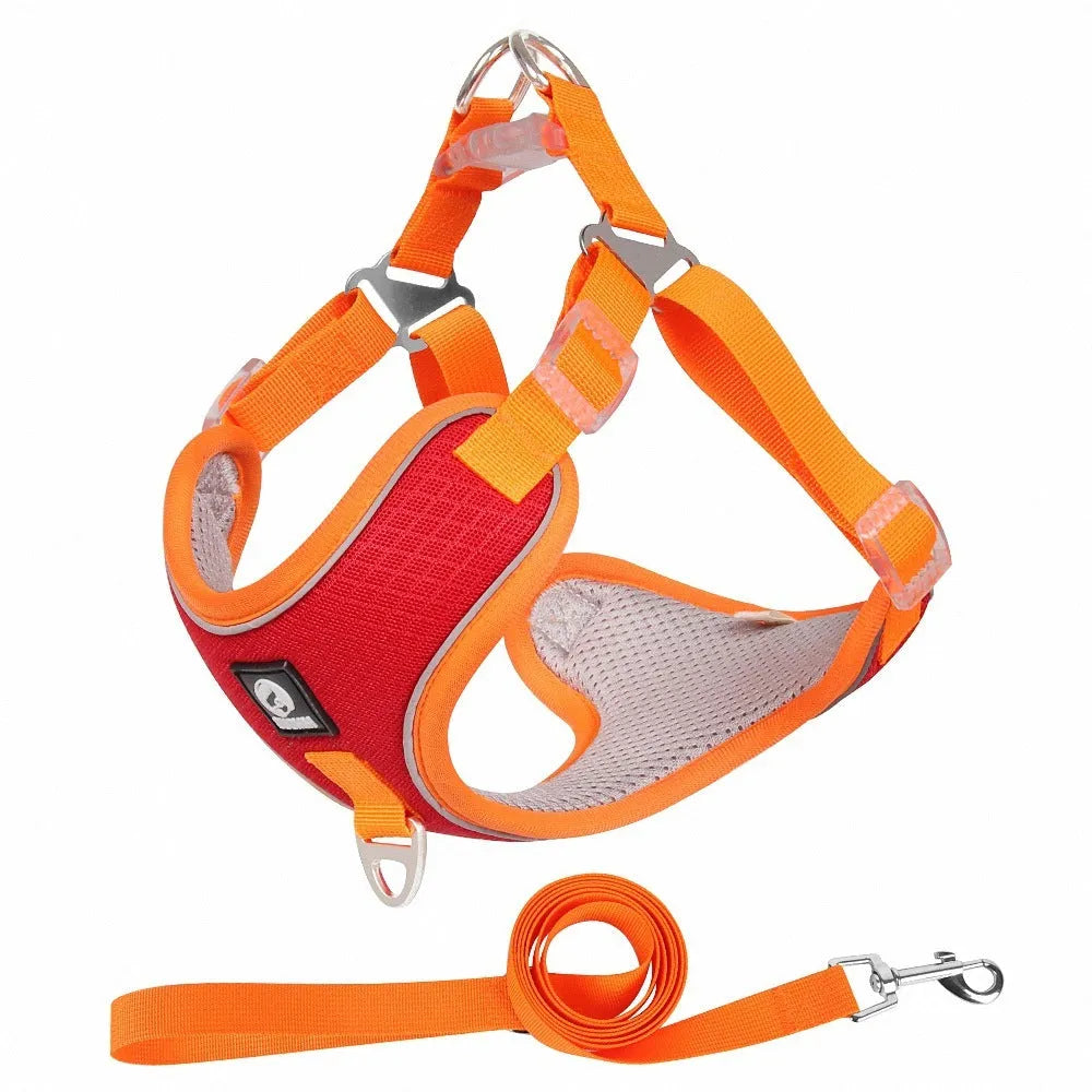 Adjustable mesh dog harness with reflective strips in black, red, grey, or light purple.