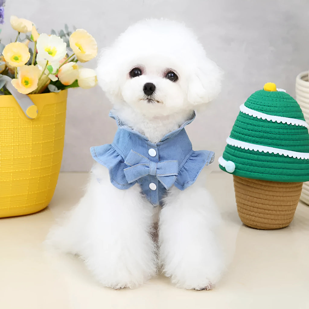 Blue denim vest dress for dog with ruffle trim and metal leash hook on chest.