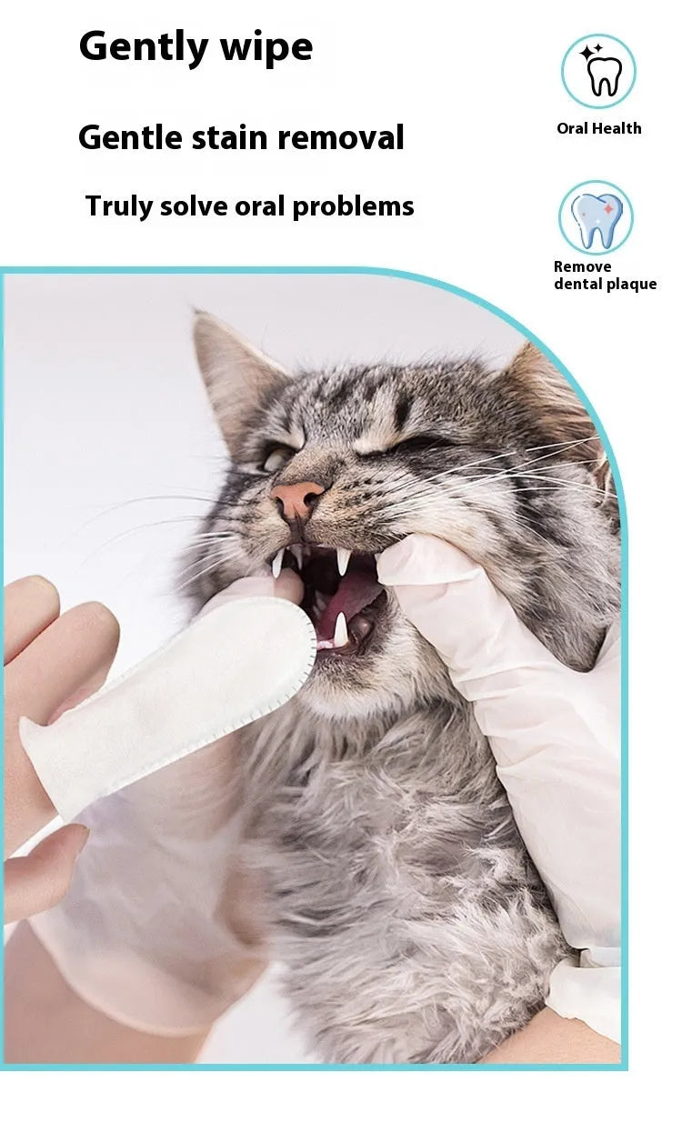 Pack of 50 disposable non-woven fabric pet dental finger cots for cleaning cat and dog teeth