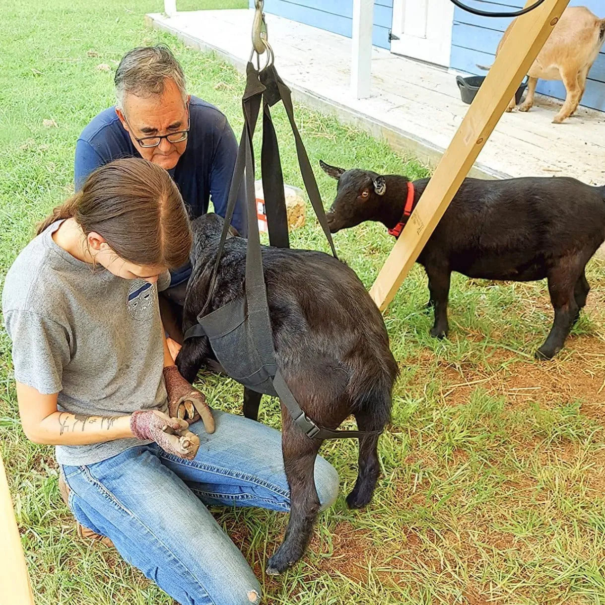Black heavy-duty calf and large dog weighing sling, dimensions 35cm by 150cm.