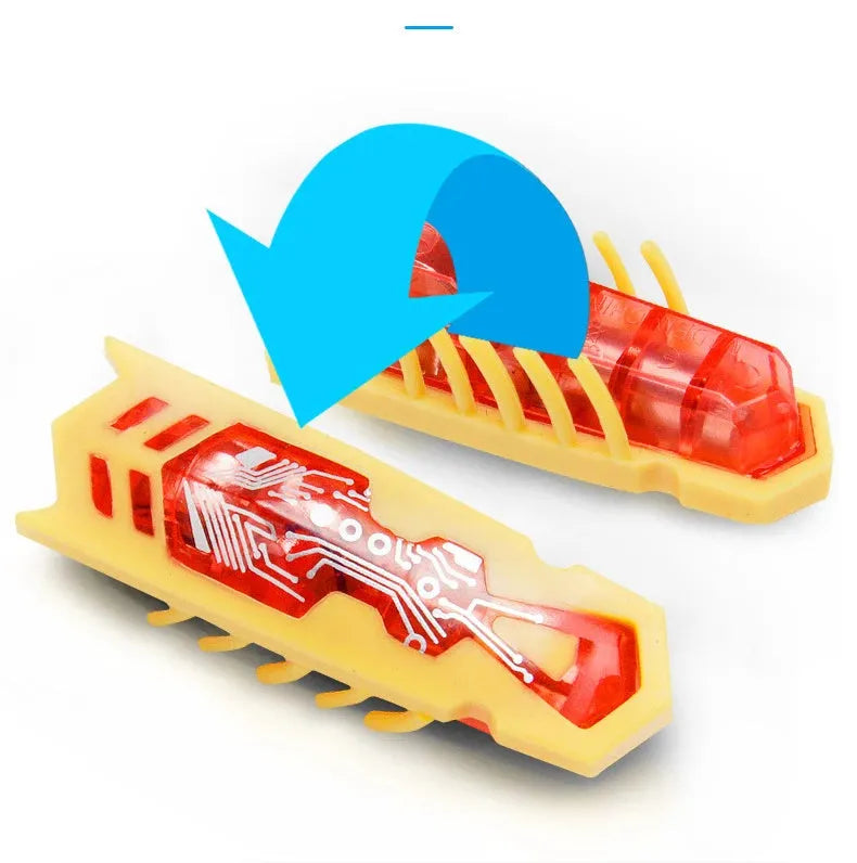 Small red ladybird-shaped electric cat toy with multiple legs on a hardwood floor