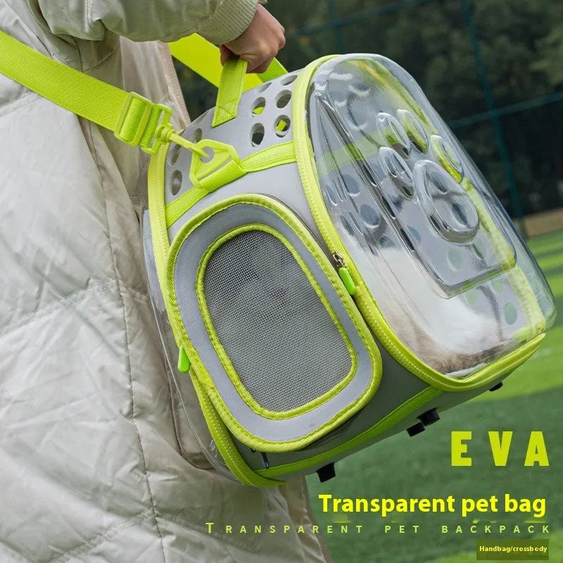 Transparent hard-shell EVA cat backpack carrier showing interior space