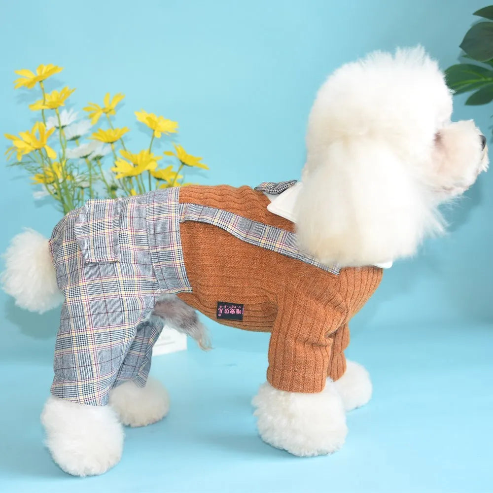 Cotton dog suit shirt in dark blue or orange colour options