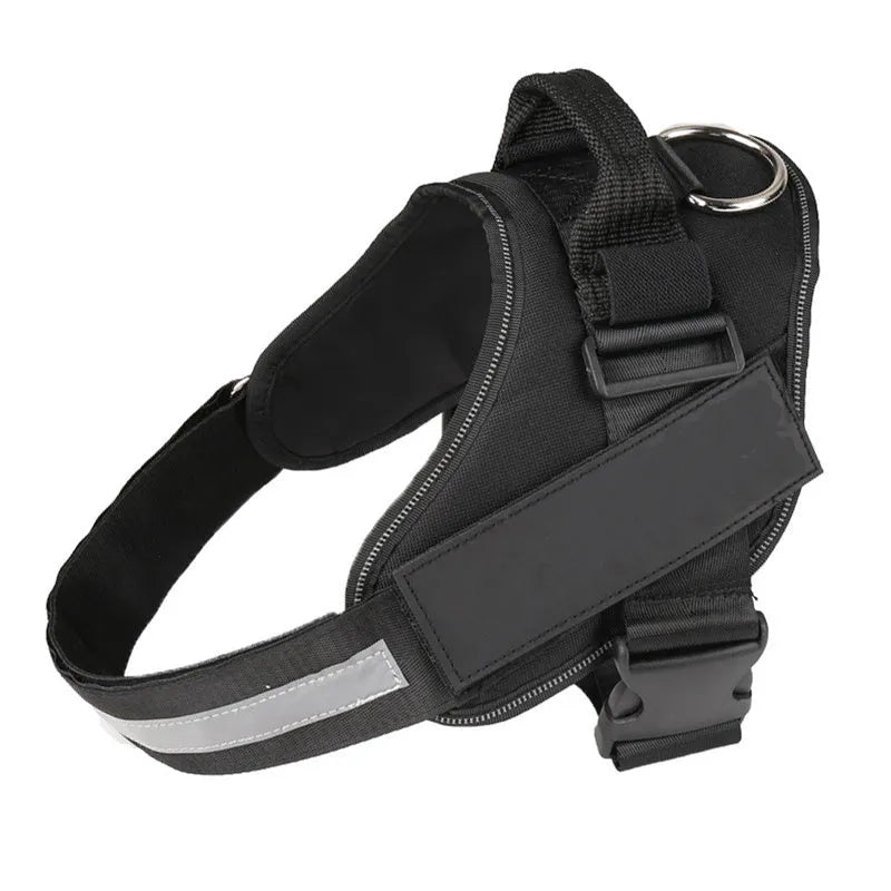 Adjustable nylon dog harness with reflective strips and a sturdy handle on a dog.