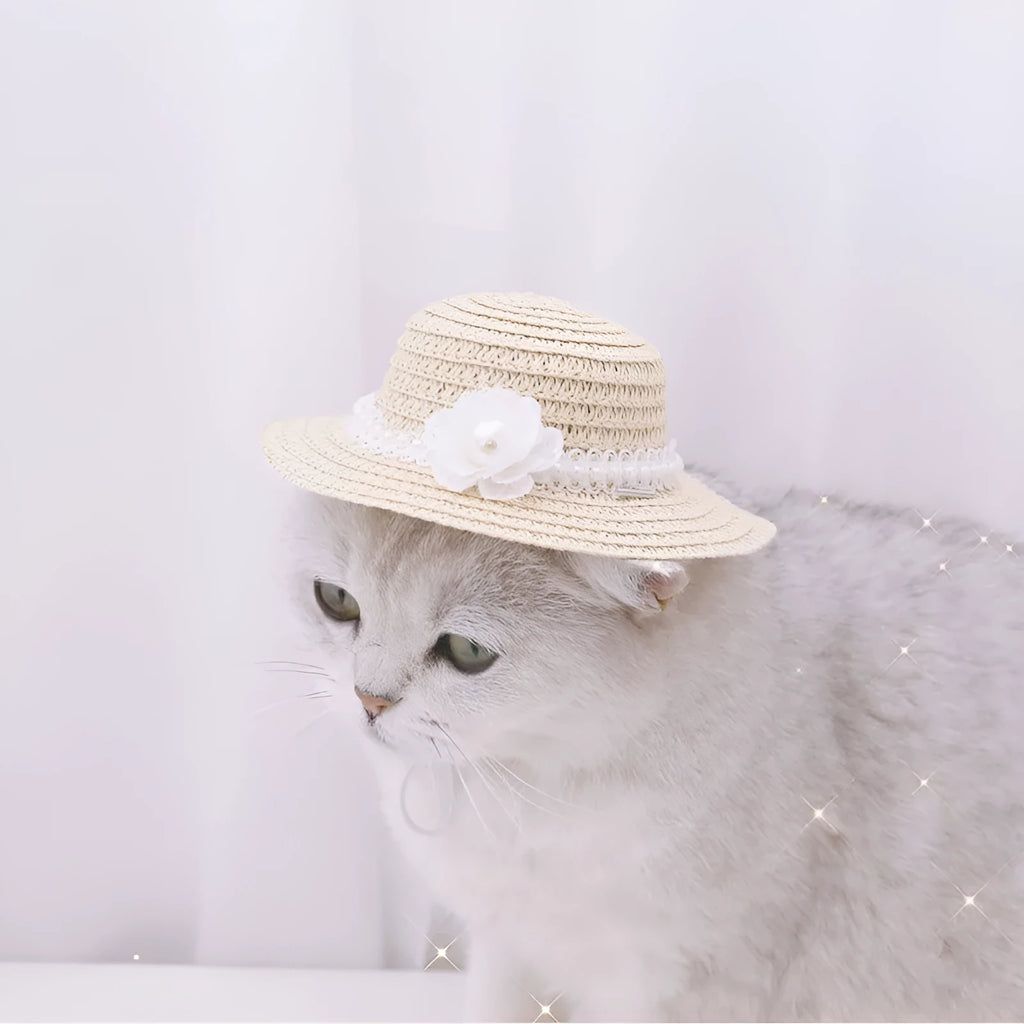 A colourful, handmade paper hat with a bowknot for a dog or cat on a white background.