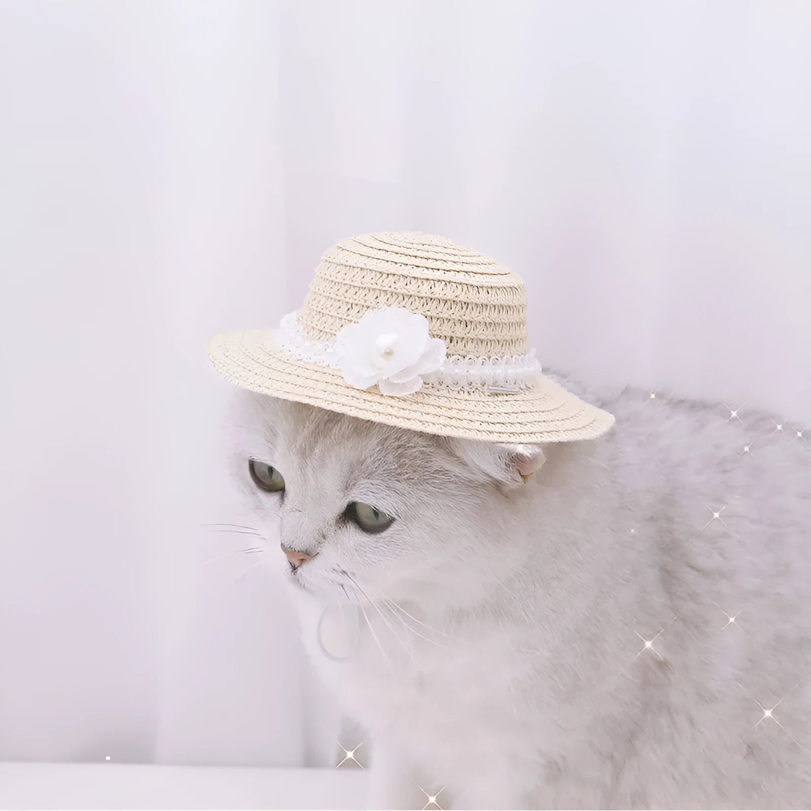 A colourful, handmade paper hat with a bowknot for a dog or cat on a white background.